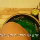 더테라피수 이미지