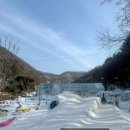 가을 숲으로 놀러가자 | 경기도 용인- 겨울 눈썰매 가을 숲체험이 있는 감성바베큐장 <별꽃포레스트>