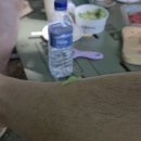 국망봉자연휴양림캠핑장 | 포천 국망봉 자연휴양림 캠핑장 후기.(A 사이트)｜계곡물놀이·여름캠핑·서울근교 힐링 여행지 추천.