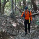 무덥고 습도 많은 날 천령산(天嶺山우척봉774.8m).견지봉(331.6m)/경북 포항 이미지