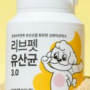 아이앤독 네이버블로그
