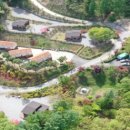 비채야영장 | 공립 생거진천 자연휴양림 (충청북도)