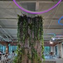 소3-28 | [영주] 소소비섬 이름처럼 소소하지 않은 베이커리 대형 카페 이용 후기