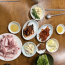 진영한의원 | 재송동 노포감성 진영식당, 현아분식 후기(내돈내산)