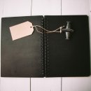 PNP (피앤피) 이미지