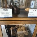 라라하우스 이미지