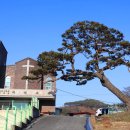 충화 팔충사 이미지