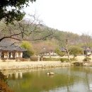 운림산방특산물판매장 티스토리