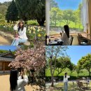 신영통 태안농협 앞 | 태안-서산 1박2일 봄꽃 여행 🌷| 미식가,커피인터뷰 파도리,천리포 수목원,흰당나귀,개심사