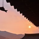 다비치안경 대구중동네거리점 이미지