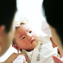 뉴본 | 대전 신생아 본아트 홈스냅 비다움 뉴본 출장 촬영 후기