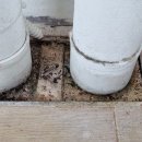 해날아파트 이미지