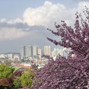 봉곡로-4 이미지