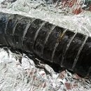 김밥2000