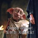 복덕방청년공인중개사사무소 이미지