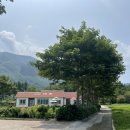 추산다람쥐마을 | 울릉도 깃대봉 송곳산 등산 후 천부항