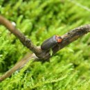 강원도자연환경연구공원 이미지