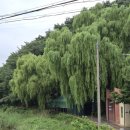 천생산 석굴 화장실 이미지