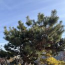 농장 | 청주 오창 디저트 카페 유송블루베리농장 후기