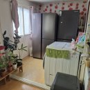 중앙동175 이미지