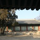 817 Daum카페