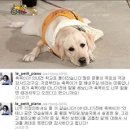해듬