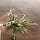 목로식당 이미지