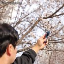 GS25해운제이드점 | 글로 하이퍼 프로, 편의점 전자담배 선물 추천 하는 이유