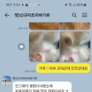 그루밍 펫 뷰티샵 이미지
