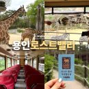 에버랜드 로스트밸리 동물원 명당 자리 스페셜투어 큐패스 구매 후기