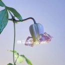 농업회사법인(주)대림 이미지