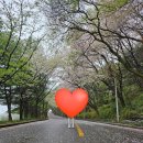 올림픽 헬스클럽 | 서울근교 올림픽CC, 고양시 골린이 초보 라운딩 후기 올림픽CC난이도 !