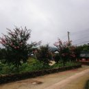 장수마을한옥민박 이미지