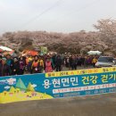 용현 이미지