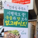 가나흑염소