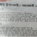 쿨펫동물병원(탄방점) 네이버블로그