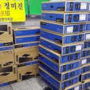 의료법인 참사랑재단 이미지