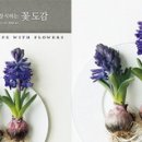 꽃장식 플로리스트 이미지