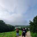 김억수농장 네이버블로그