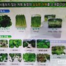 초원농산물