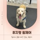 두친구영삼이 | 14살 리트리버 영삼이의 워크앤런 후기 | 워크앤런 | 강아지 휠체어 | 대형견 휠체어