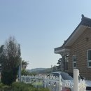 에코스테이 | 2박 3일 화성 궁평항 가성비좋은 독채펜션 ‘에코키즈스테이’ 여행🌿(한옥카페 ‘감뜰’에서 여유로운...