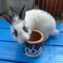 통도동물병원 이미지