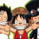 화성3태권도 체육관 이미지