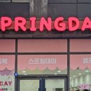 스프링데이제주점 이미지