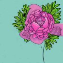 덴탈이유 이미지