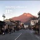 메종다비드