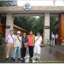 2008년중한국관광포럼/사천성[팬더곰기지-무후사-금리거리]3 이미지