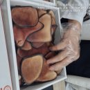 경희보성한의원 이미지