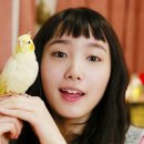 나오늘머리한다 이미지